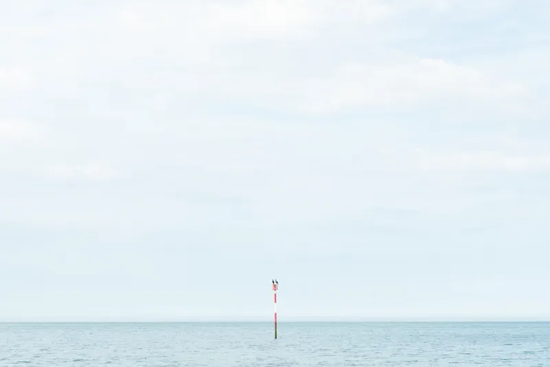 Cormorants, tide marker, Margate. 2024.
